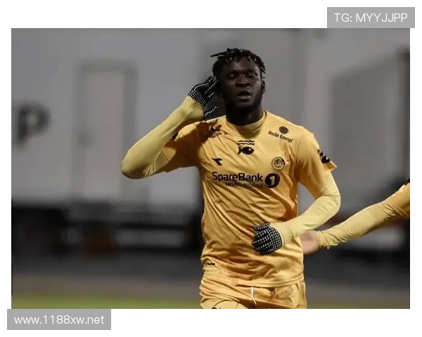 博尼法斯在勒沃库森体系中的战术角色与位置解析